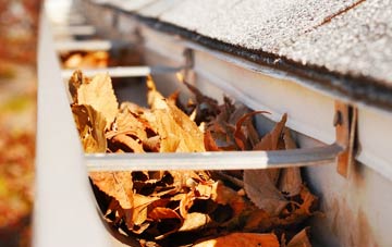 Summerfield gutter cleaning companies