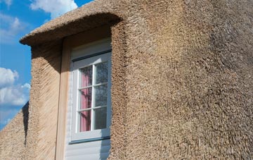 Summerfield thatch roof disadvantages