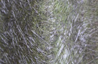 Summerfield fibreglass roof work